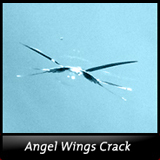 Angel Wings Windshield Crack